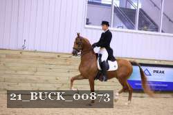 21_BUCK_00873 proof