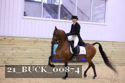 21_BUCK_00874 proof