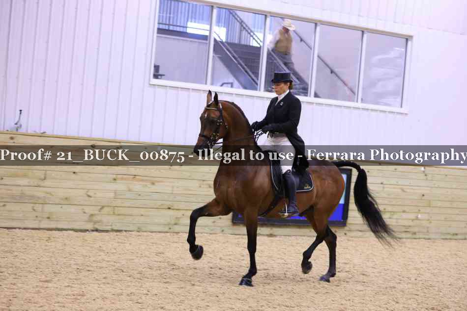 Proof 21_BUCK_00875