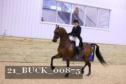 21_BUCK_00875 proof