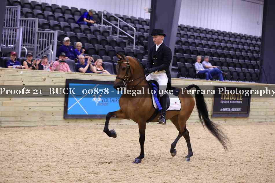 Proof 21_BUCK_00878