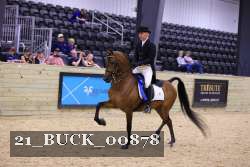 21_BUCK_00878 proof