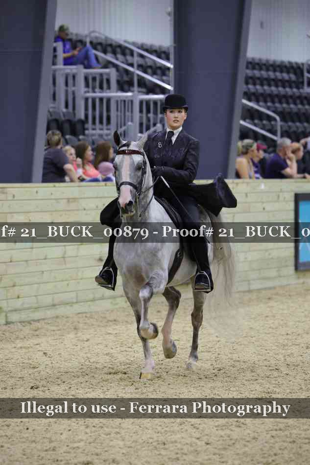 Proof 21_BUCK_00879