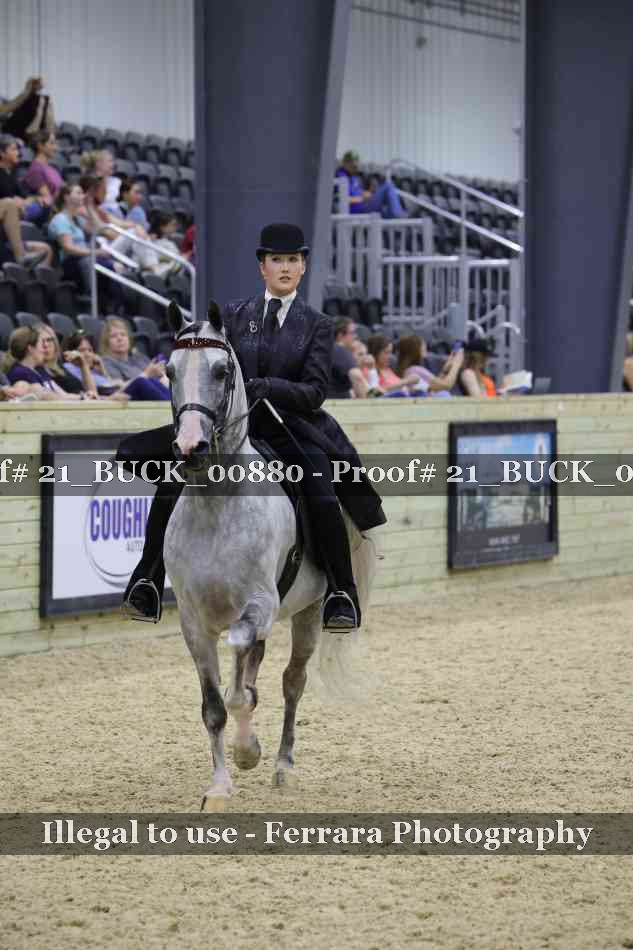 Proof 21_BUCK_00880