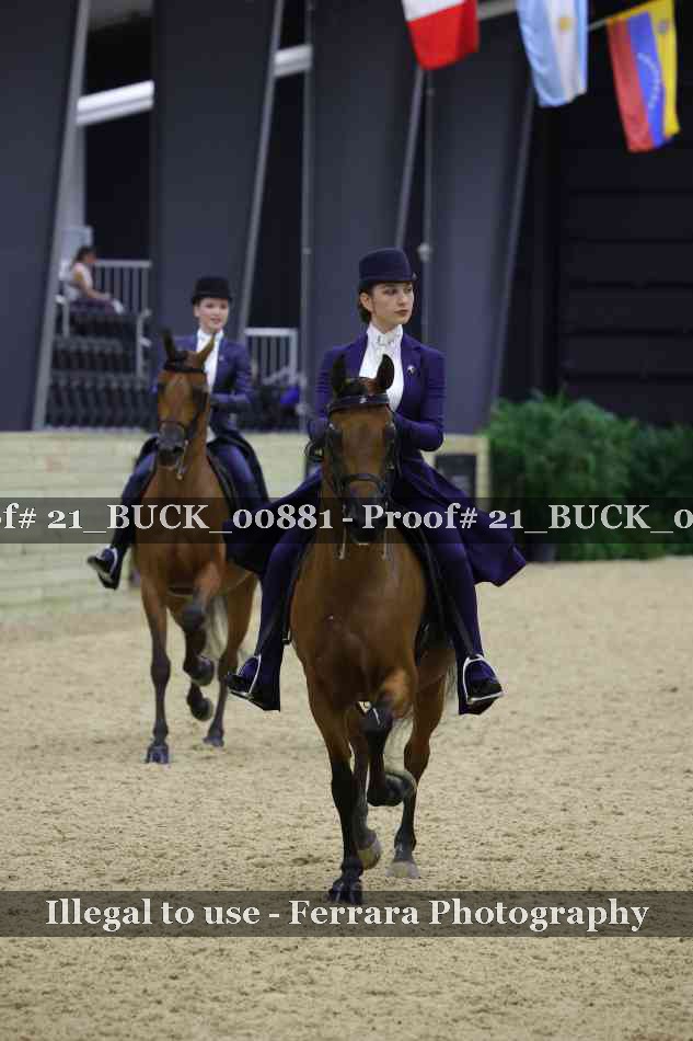 Proof 21_BUCK_00881