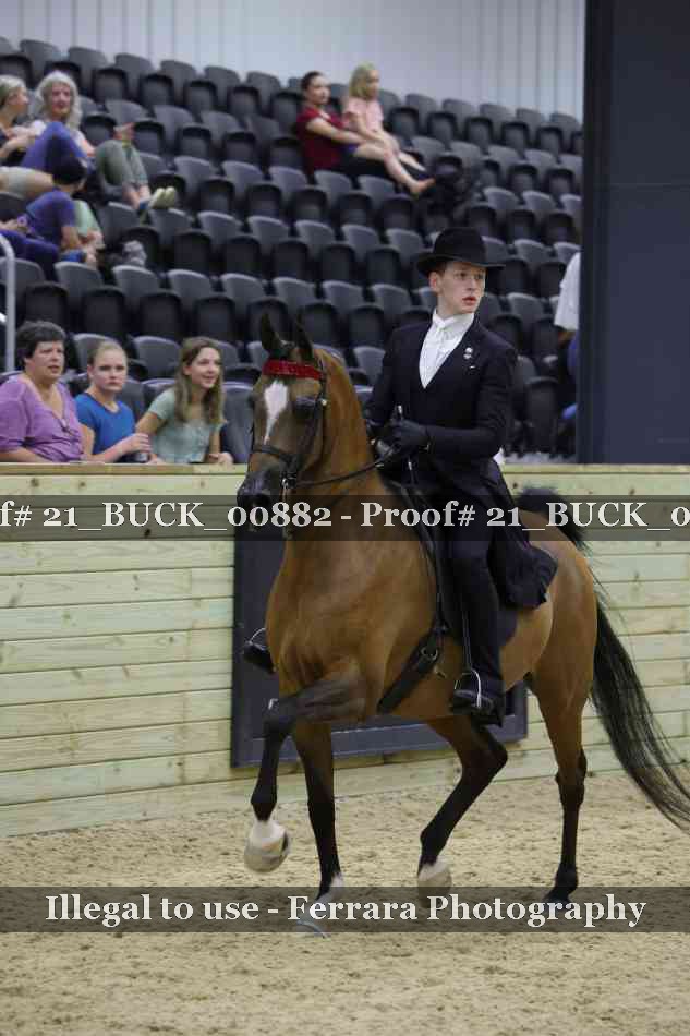 Proof 21_BUCK_00882