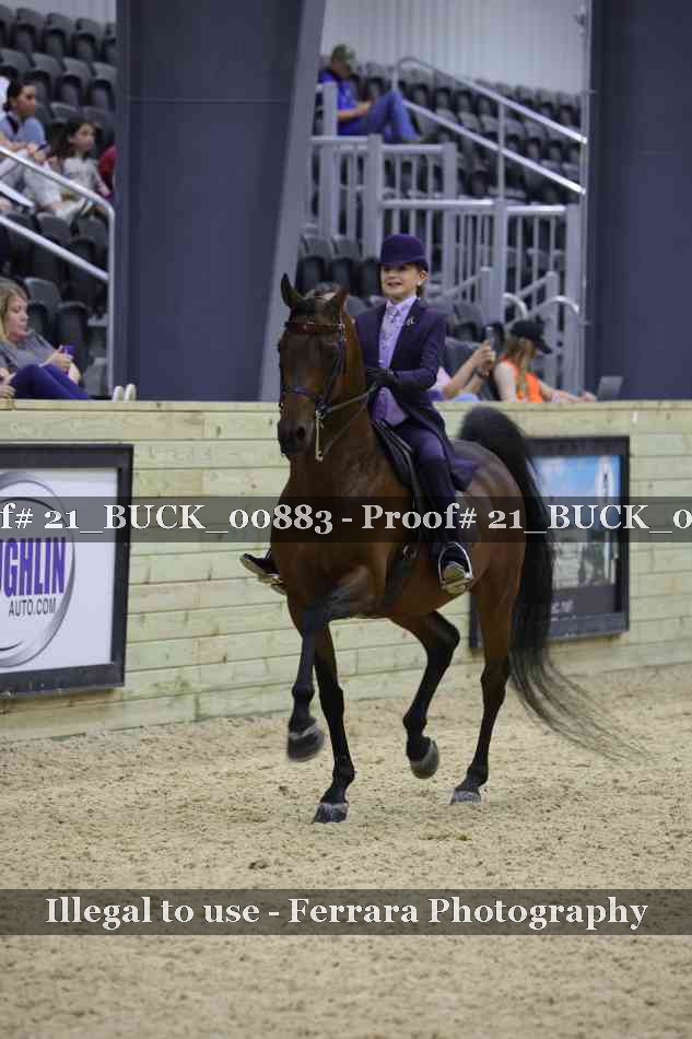 Proof 21_BUCK_00883