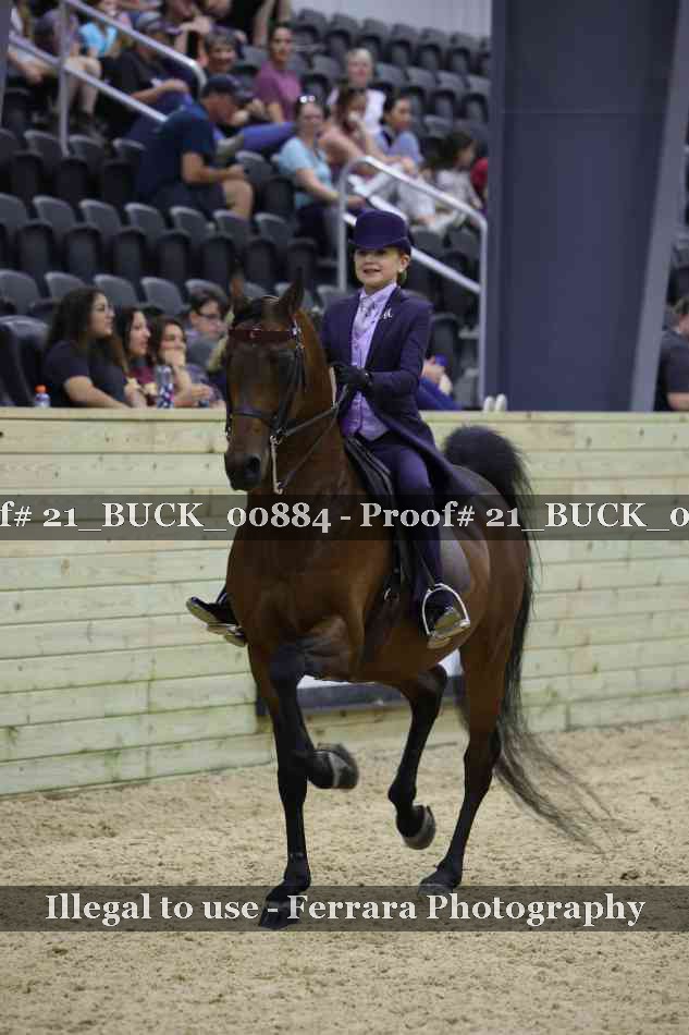 Proof 21_BUCK_00884