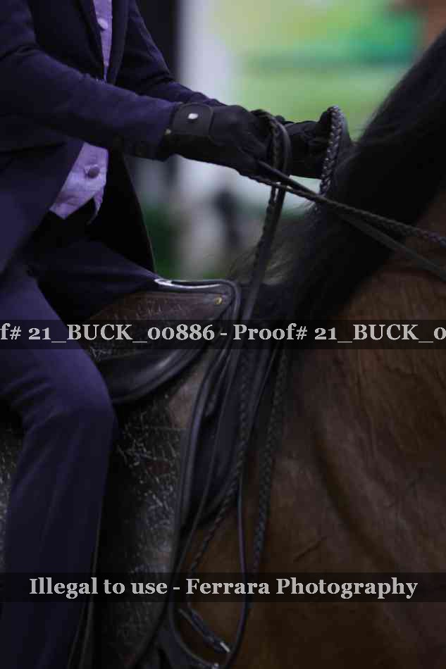Proof 21_BUCK_00886