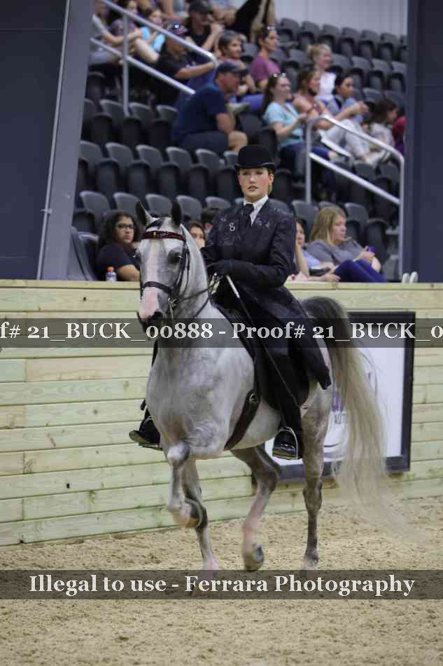 Proof 21_BUCK_00888