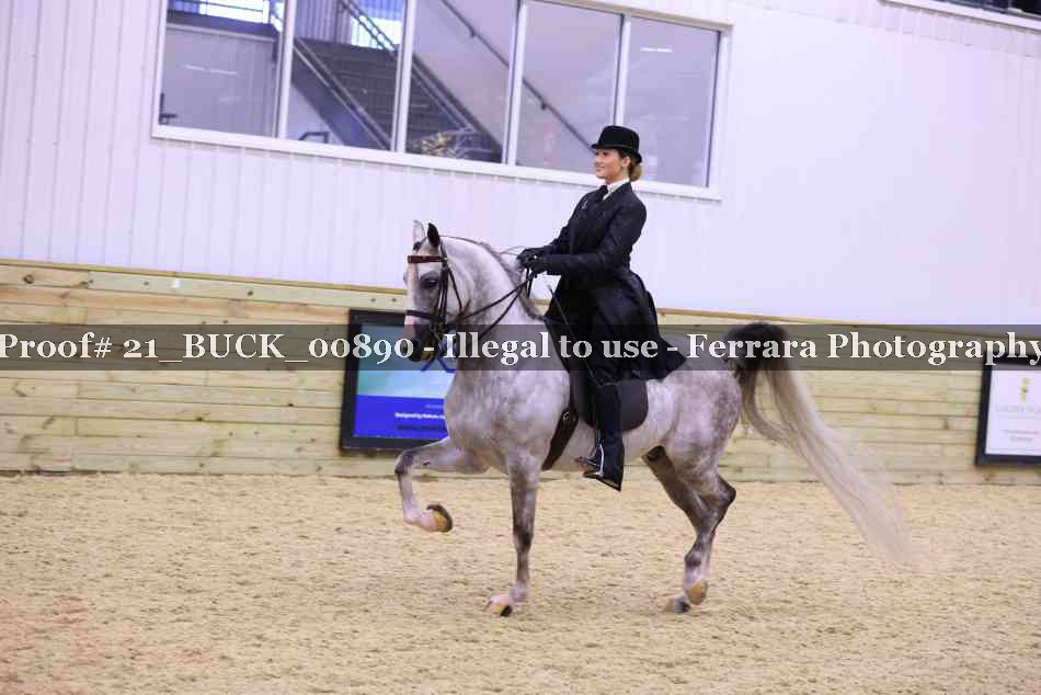 Proof 21_BUCK_00890