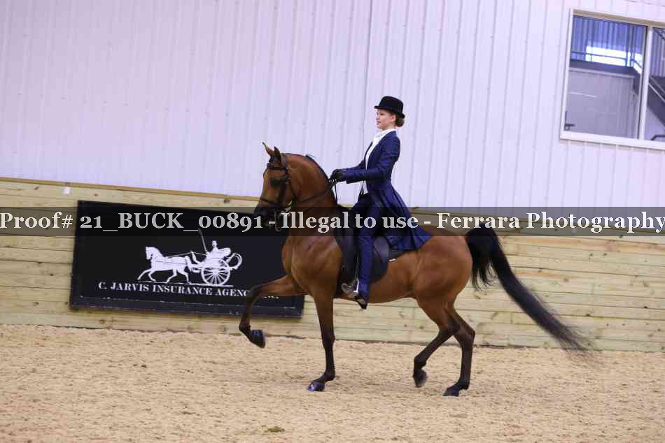 Proof 21_BUCK_00891