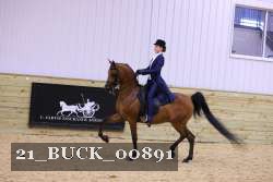 21_BUCK_00891 proof