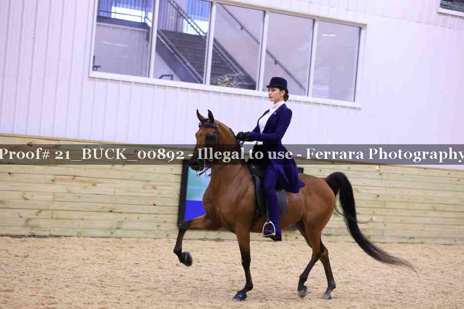 Proof 21_BUCK_00892