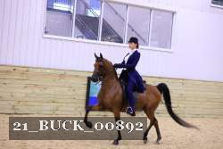 21_BUCK_00892 proof
