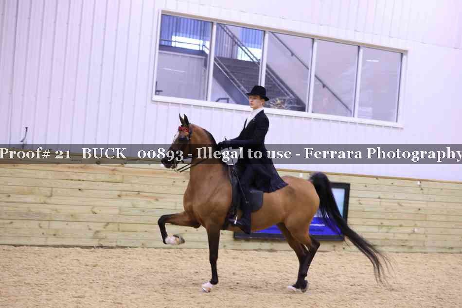 Proof 21_BUCK_00893