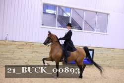 21_BUCK_00893 proof