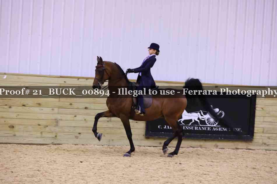 Proof 21_BUCK_00894