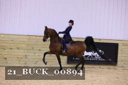 21_BUCK_00894 proof