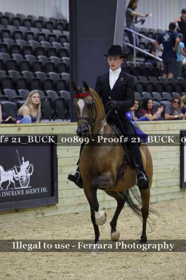 Proof 21_BUCK_00899