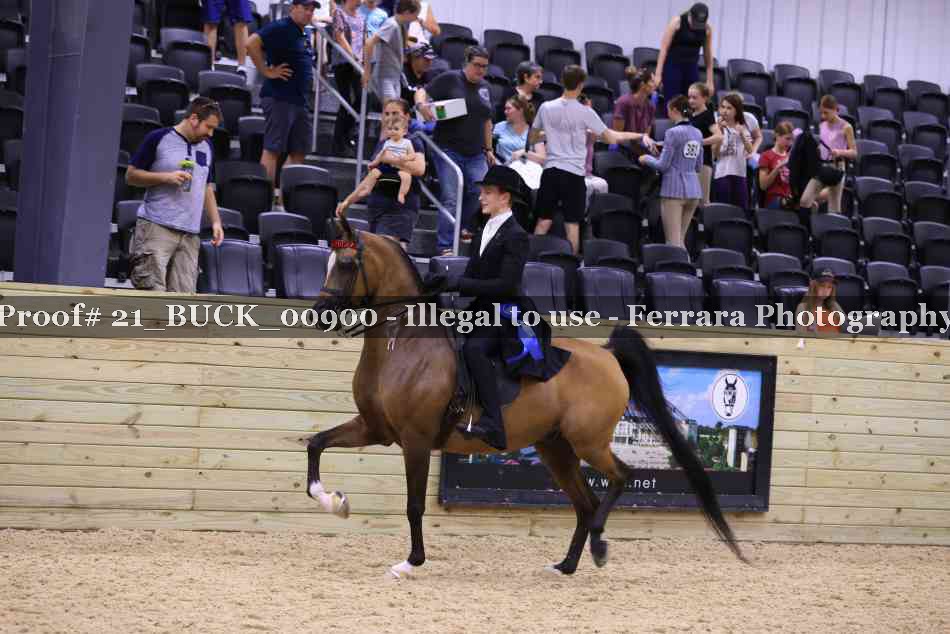 Proof 21_BUCK_00900