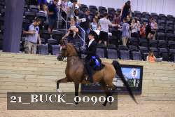 21_BUCK_00900 proof