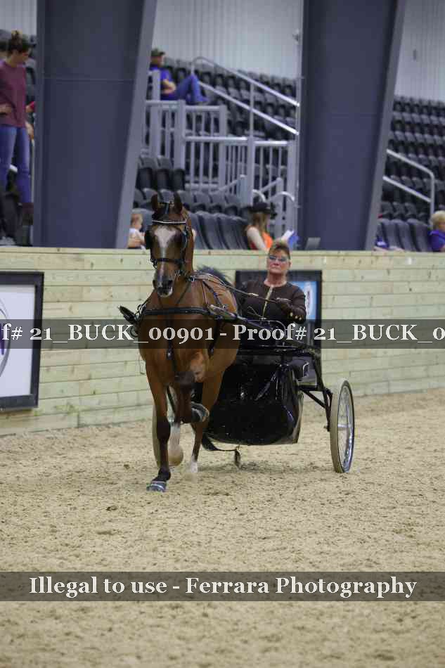 Proof 21_BUCK_00901