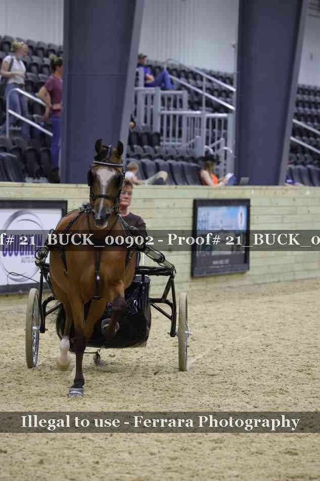 Proof 21_BUCK_00902