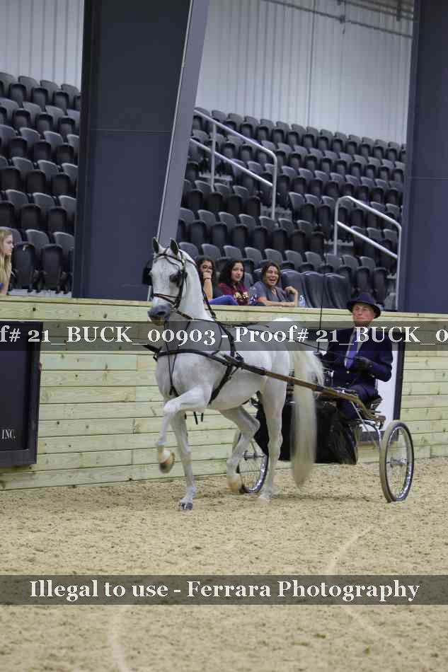 Proof 21_BUCK_00903