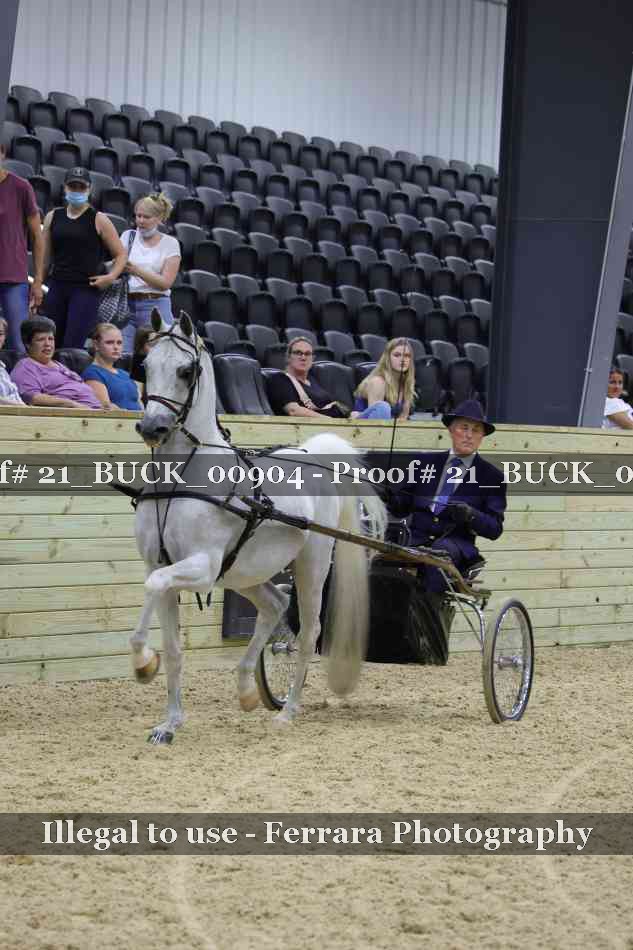 Proof 21_BUCK_00904