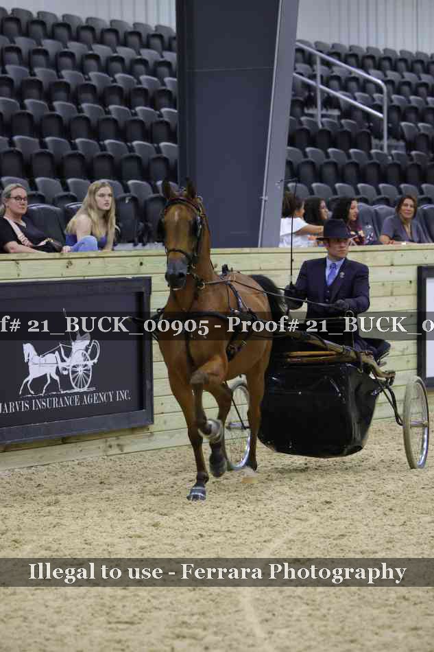 Proof 21_BUCK_00905