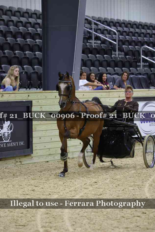 Proof 21_BUCK_00906
