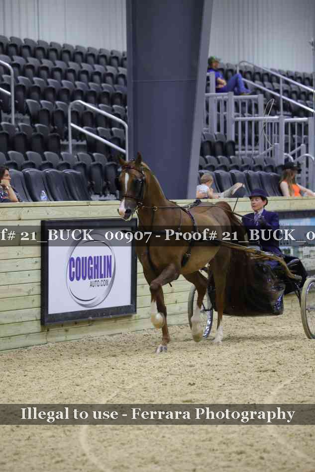 Proof 21_BUCK_00907