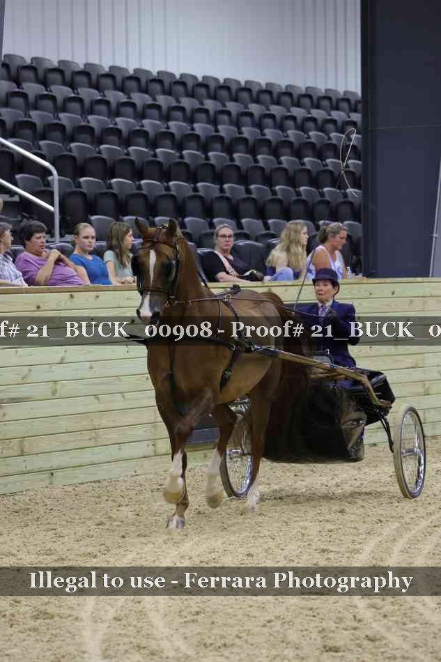 Proof 21_BUCK_00908