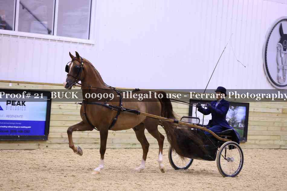 Proof 21_BUCK_00909
