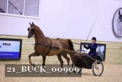 21_BUCK_00909 proof
