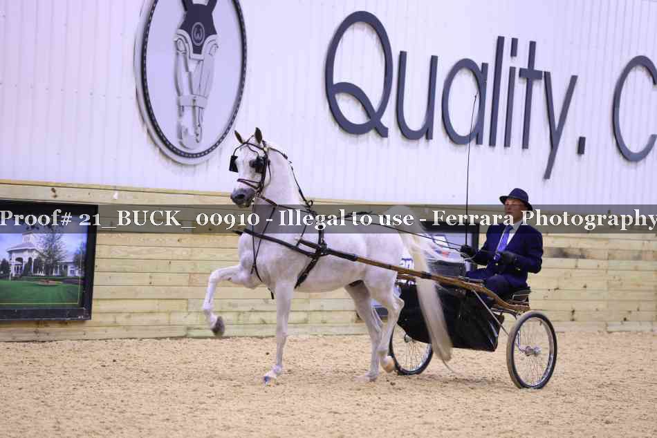 Proof 21_BUCK_00910
