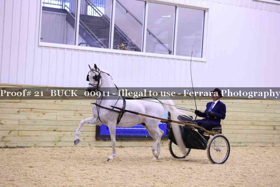 Proof 21_BUCK_00911