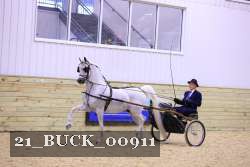 21_BUCK_00911 proof