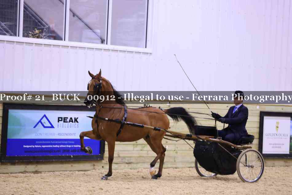 Proof 21_BUCK_00912