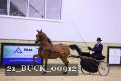 21_BUCK_00912 proof