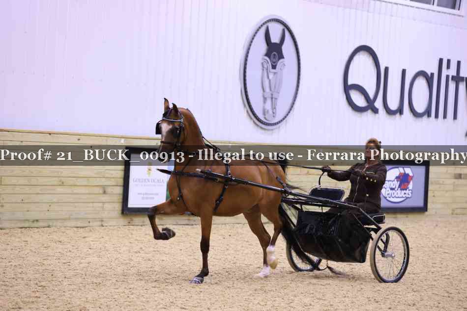 Proof 21_BUCK_00913