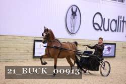 21_BUCK_00913 proof