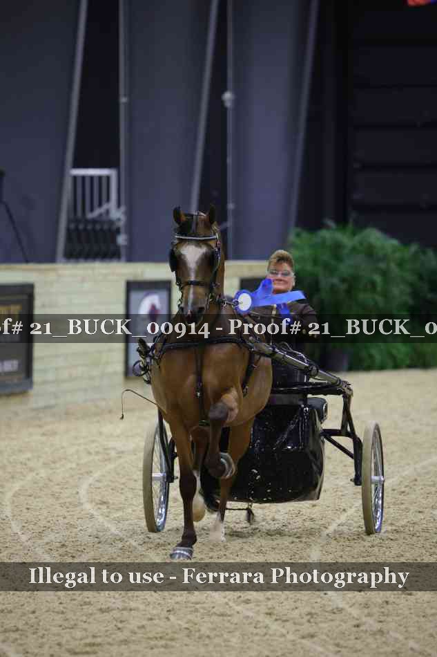 Proof 21_BUCK_00914