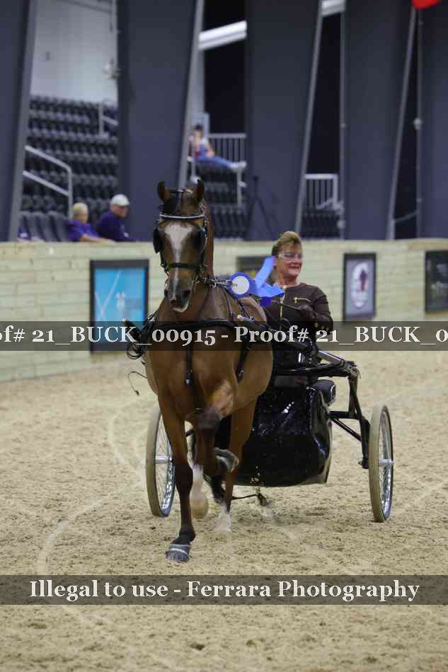Proof 21_BUCK_00915