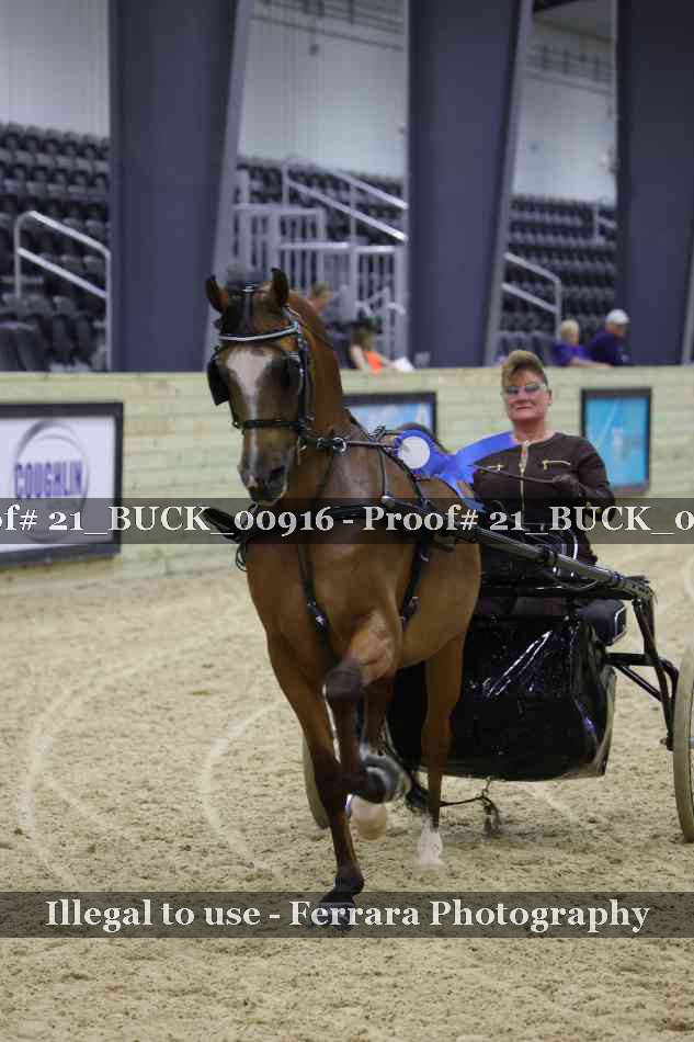 Proof 21_BUCK_00916