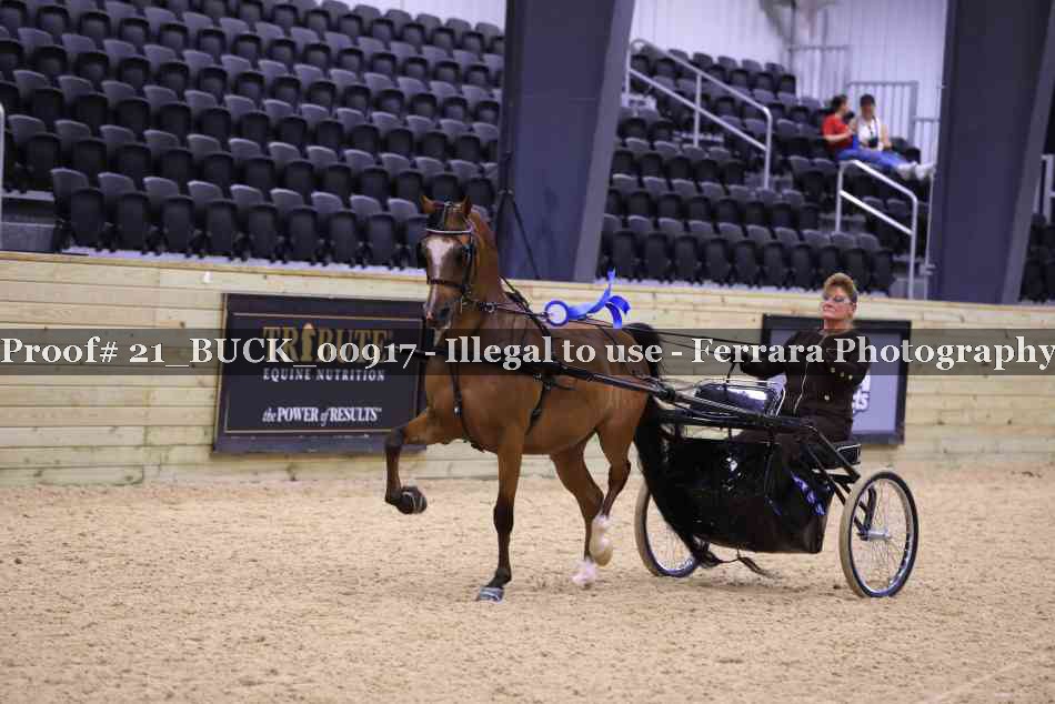 Proof 21_BUCK_00917