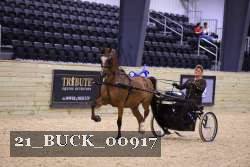 21_BUCK_00917 proof