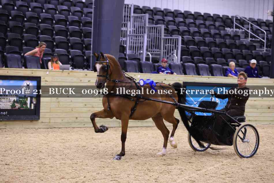 Proof 21_BUCK_00918