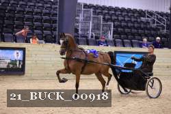 21_BUCK_00918 proof
